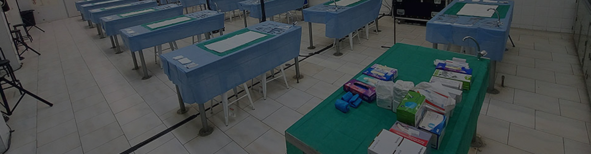 Cadaver Lab for UppExMC 2025